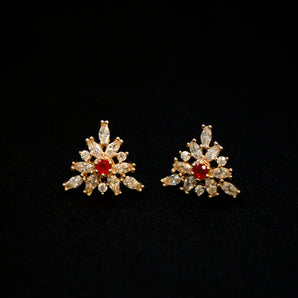 Aanandita Golden Golden Traingle Diamond Ruby Tops