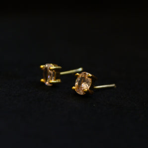 Aanandita AD Stone Gold Stud Earrings