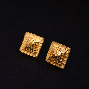 Aanandita Golden Glistening Stud Earrings