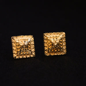 Aanandita Golden Glistening Stud Earrings