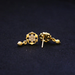 Aanandita Classy Shinning Golden Earring