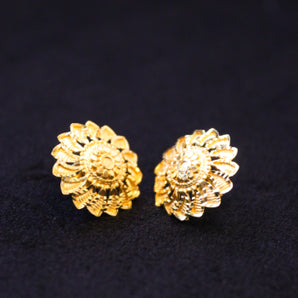 Aanandita Elegant and Beautiful Earring