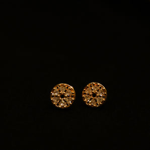 Aanandita Rose Gold AD Stud