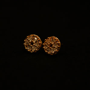 Aanandita Rose Gold AD Stud