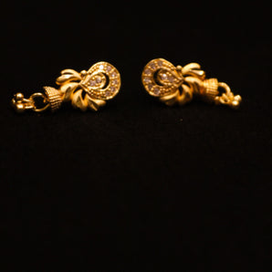 Aanandita AD Gold Beautiful Earrings