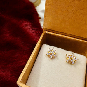 Aanandita Gold diamond stone Earring