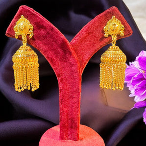 Aanandita Beautiful Designer jhumka