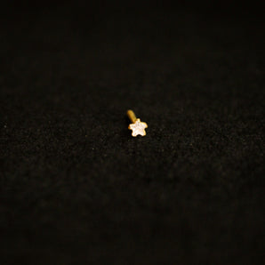 Aanandita White Star Nose Pin