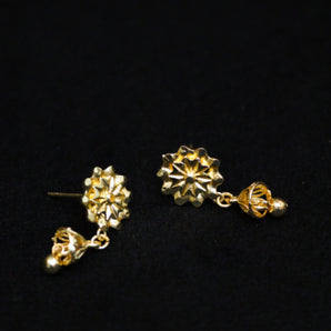 Aanandita Golden Tops & Small Jhumki Earrings